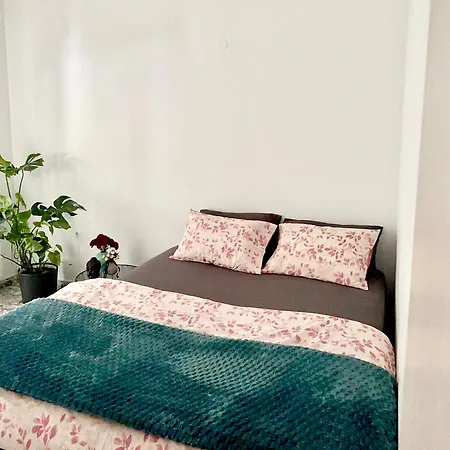 Gaia Houses 公寓 塞萨洛尼基